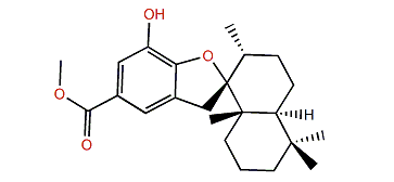Dysidphenol B